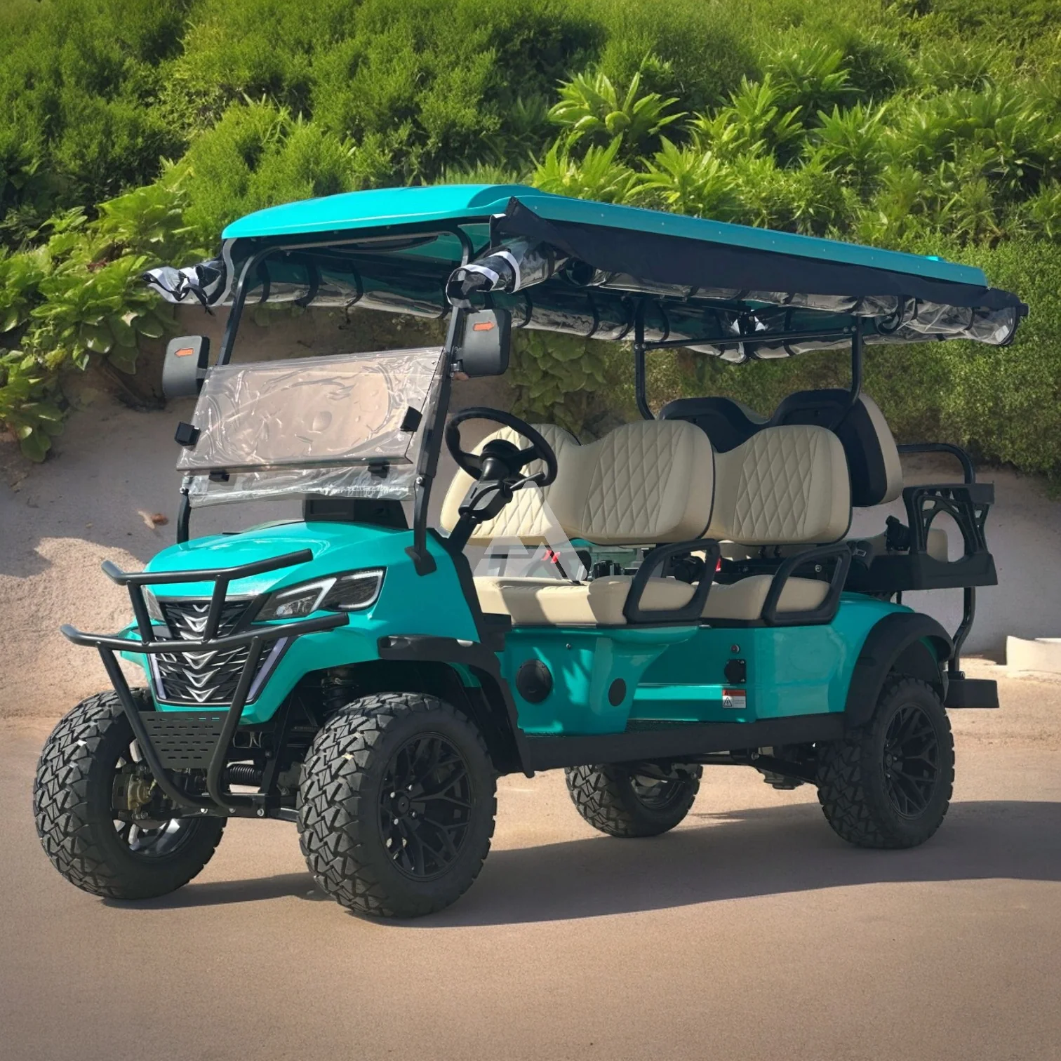Luxury Golf Cart Fleet